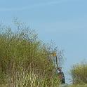 2 Clearing the Field (12)